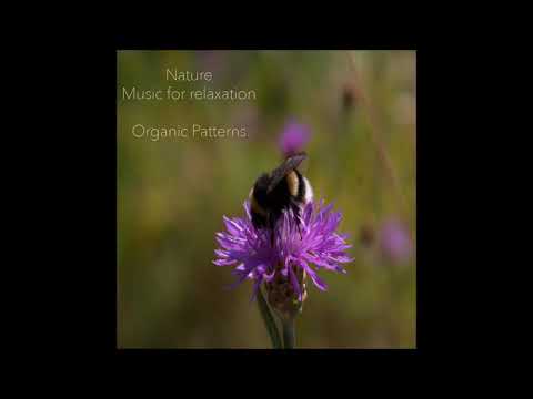 Organic Patterns - Nature - Music for Relaxation [Full Album]