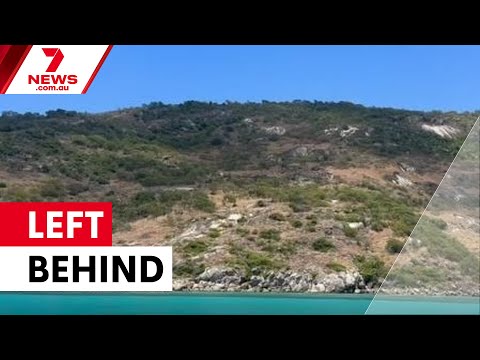 Cruise passenger dies after being left on remote island | 7NEWS