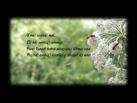 SERKO - CÓMO LOS PÁJAROS     #TRINCHERAS