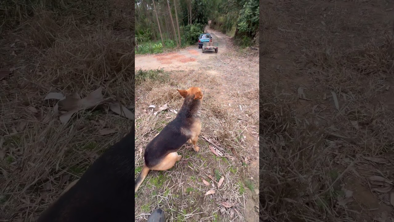 HOW MUCH DID I EARN FROM 1 SHORTS WITH 3 MILLION VIEWS? #shorts #monetization