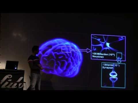 Eine klebrige Angelegenheit   Die faszinierende Welt des Gehirns Science Slam