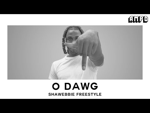 O Dawg - "Shawebbie (Freestyle)" | AMPD Exclusive
