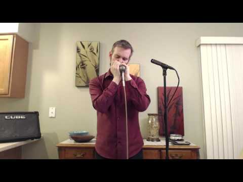 The Banister's - Lucky 13 Harmonica piece with effects (video vers)