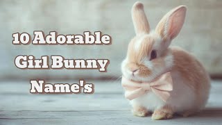 10 Adorable Girl Rabbit Names You’ll Love! 🐇 | Perfect for Your Cute Bunny!