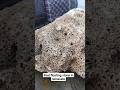 The Real Pumice Stone Or Floating Stone In Rameshwaram Ramasetu Ramsetu