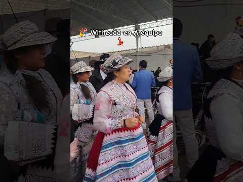 Octava de Llanca (Arequipa)🎉 #wititi #caylloma #octava #fiestapatronal #rociohaydeevlogs #shorts