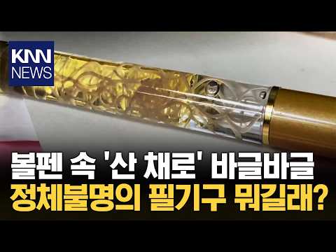 볼펜 속 '꿈틀꿈틀' 거리는 무언가 전 세계가 충격받은 '이것' 황당 / KNN
