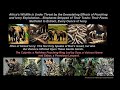 Fight Poaching With The Gangsta Squad Strike Force NFTs