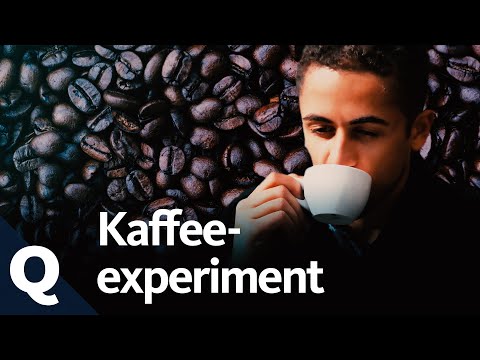 How caffeine really works | Quarks