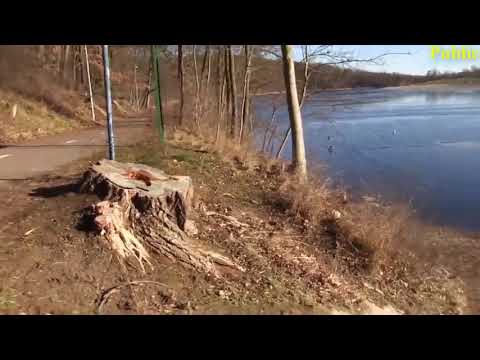 public pickup at lake of ❤️ girl