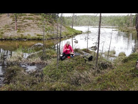 Iltapäivä Retki 26. 6- 21 Inari