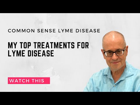 My top treatments for Lyme disease.