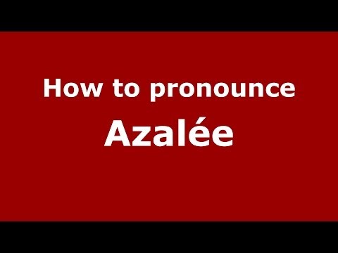 How to Pronounce Azalée - PronounceNames.com