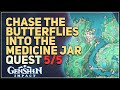 Chase The Butterflies Into The Medicine Jar Genshin Impact