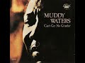 Muddy Waters - After Hours