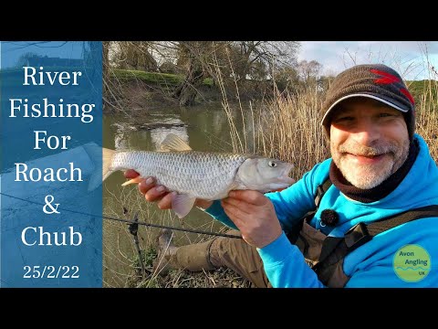 Winter Fishing For Chub & Roach - Small River Roving - 25/2/22 (Video 304)