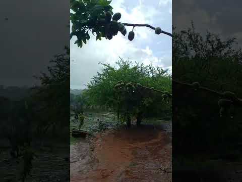 Sítio Lagedinho, Riacho de Santana Bahia 🌵