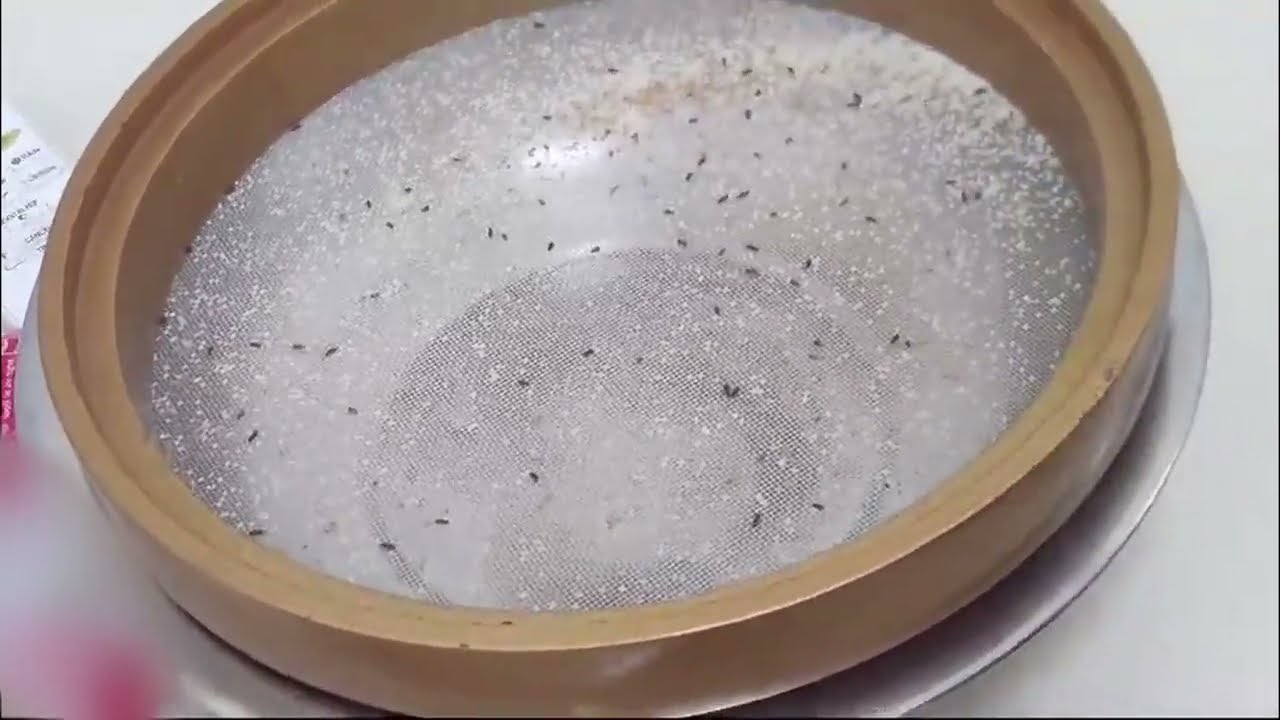 ProvisionGard Comparison Study 2024