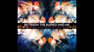 Between The Buried And Me - Augment Of Rebirth (Lyrics)