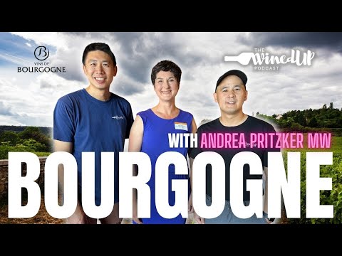 Take a Closer Look at Bourgogne with Andrea Pritzker MW