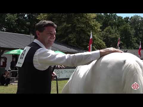 Strohen 2020 -  HIGHLIGHTS