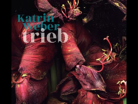 CD Release KATRIN WEBER Trieb