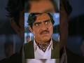 Sunny Deol Top Dialogues Amrish Puri Gadar 2 Sunnydeol Amrishpuri Shorts Shortsfeed Yts