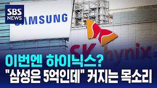 이번엔 하이닉스?.."삼성은 5억인데" 커지는 목소리 / SBS
