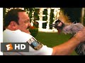 Paul Blart Mall Cop 2 2015 Man Vs Bird Scene 4 10 Movieclips