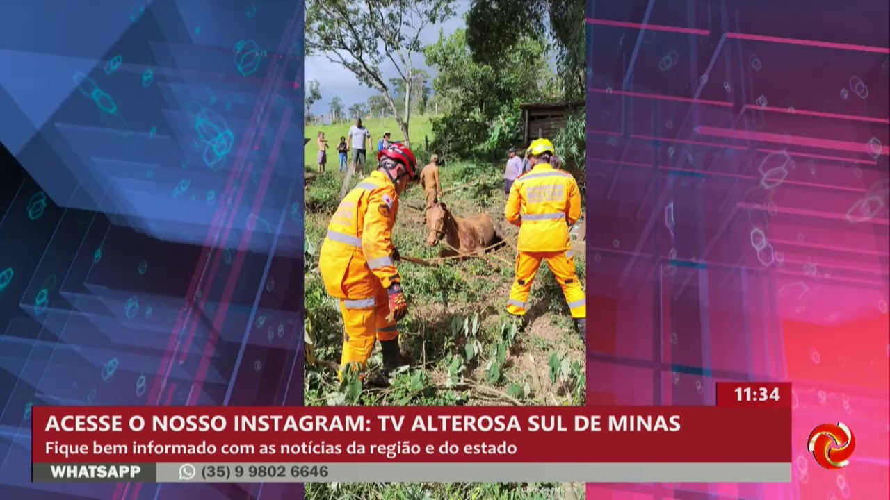 Bombeiros resgatam cavalo em poço de 5 metros em Brasópolis