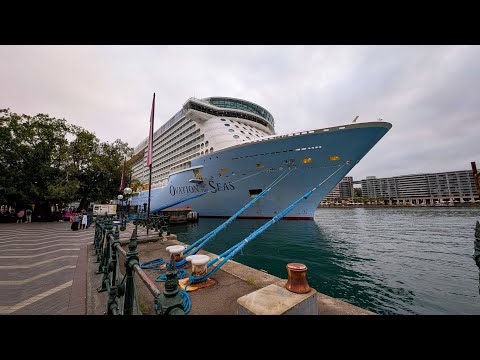 Thumbnail for Cruise from Sydney to Auckland