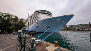 Cruise from Sydney to Auckland