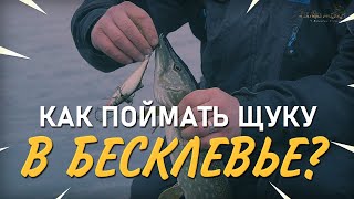 Практика ловли с валерием сикиржицким