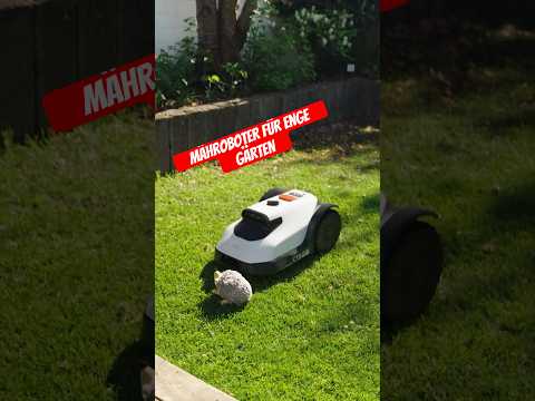 Mähroboter für enge Gärten