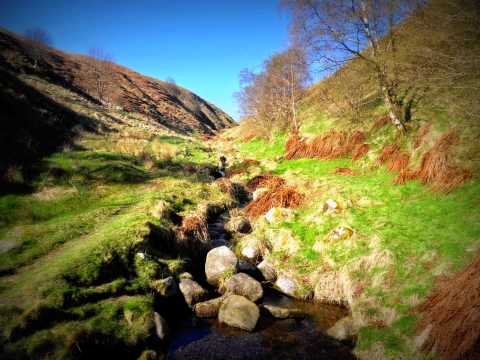 FolkPort: A Walk in the Highlands - Folk Rock Music (Royalty-free)