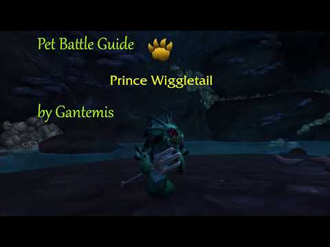 How to beat Prince Wiggletail pet battle
