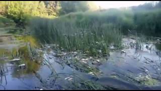 Рыбалка на река нара