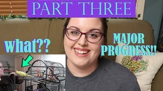 I Reached Out To A Parrot Behaviorist | Sydney's Story Part 3 | Rescue Parrot Training