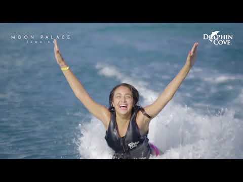 Jamaican Experience: Dolphin Cove & Yaaman Adventure