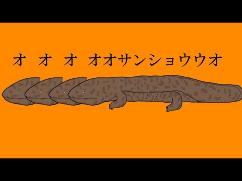 オオオオオサンショウウオ/琴葉姉妹(AI_VOICE/NEUTRINO)