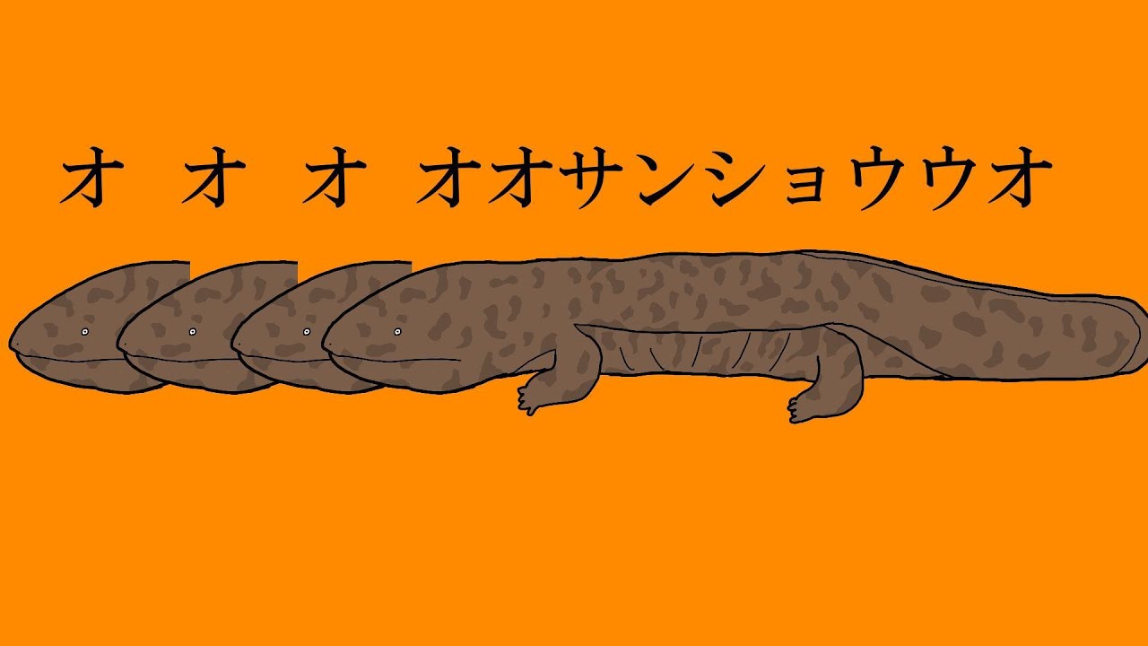 オオオオオサンショウウオ/琴葉姉妹(AI_VOICE/NEUTRINO)