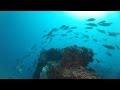 Picture taken during the dive