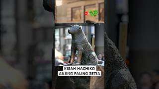 Download lagu Kisah Hachiko, Anjing Paling Setia #hachiko #dog #kisahnyata mp3