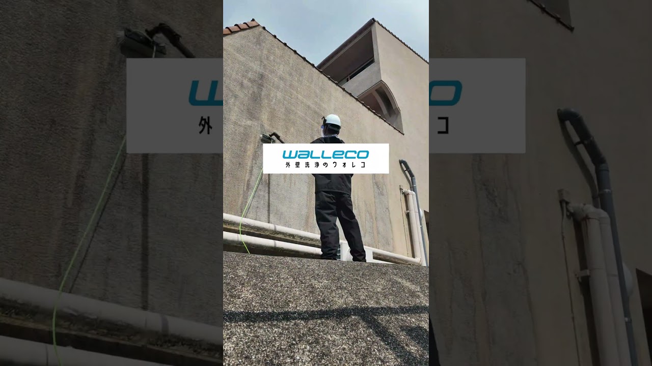 改名しました👑 #洗浄王