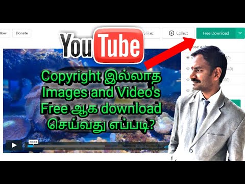 Free Videos Pexels