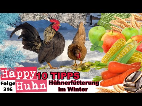 Hühnerfütterung im Winter! 10 Tipps für das beste Futter um die Hühner zu verwöhnen! HAPPY HUHN E316