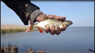 Рыбалка на кардашинском лимане