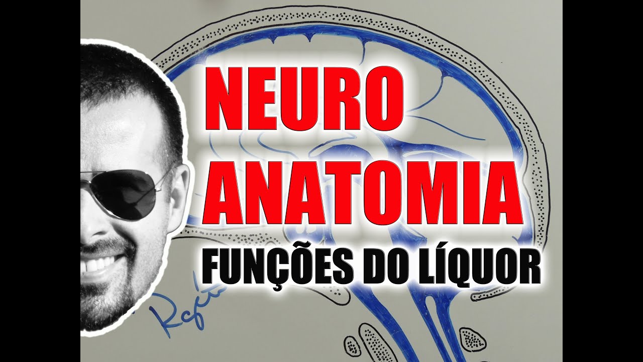 Líquor / Líquido Cérebro-Espinal / Líquido Céfalo-Raquidiano - Sistema Nervoso - VideoAula 079 -