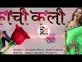 Kachi Kali Kachnar DJ Remix