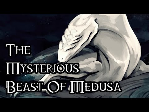 The Mysterious Beast Of Medusa - 40K Theories